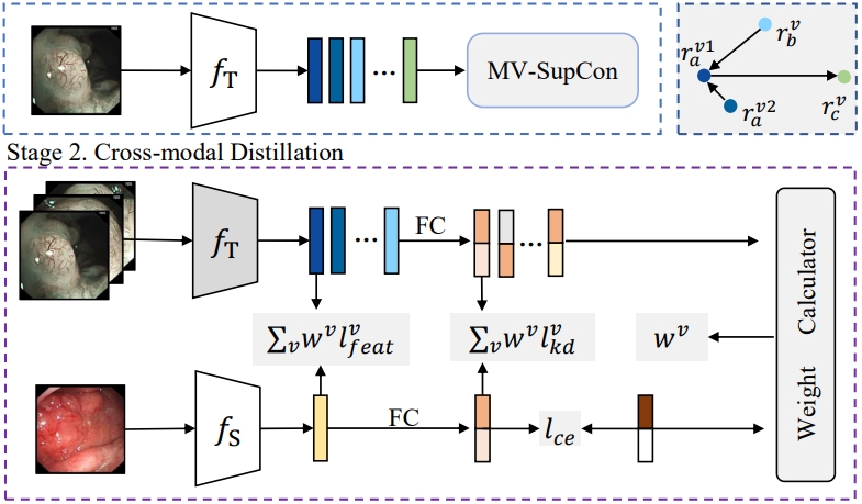 MV-CMD